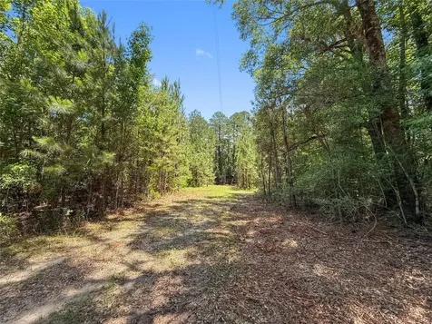 Tbd Hickman Road Burkeville TX 75932