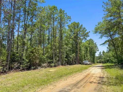 Tbd Hickman Road Burkeville TX 75932