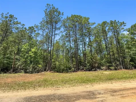 Tbd Hickman Road Burkeville TX 75932