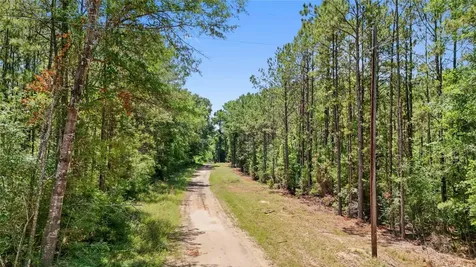 Tbd Hickman Road Burkeville TX 75932