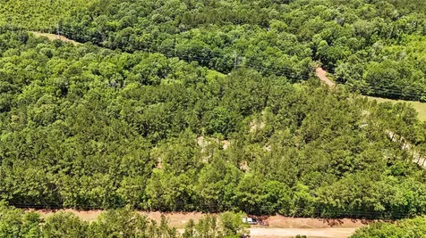 Tbd Hickman Road Burkeville TX 75932