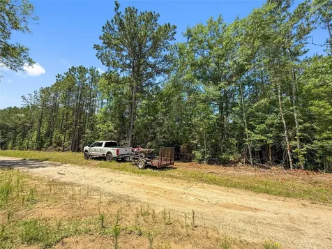 Tbd Hickman Road Burkeville TX 75932