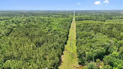 Tbd Hickman Road Burkeville TX 75932