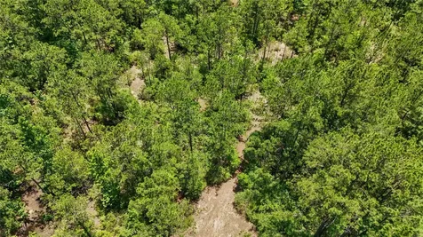 Tbd Hickman Road Burkeville TX 75932
