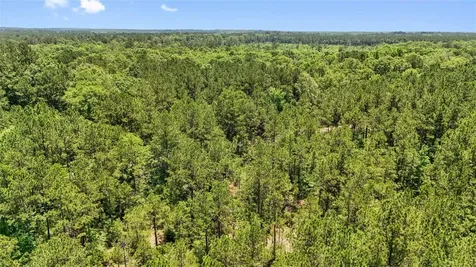 Tbd Hickman Road Burkeville TX 75932