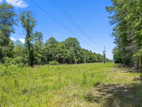 Tbd Hickman Road Burkeville TX 75932
