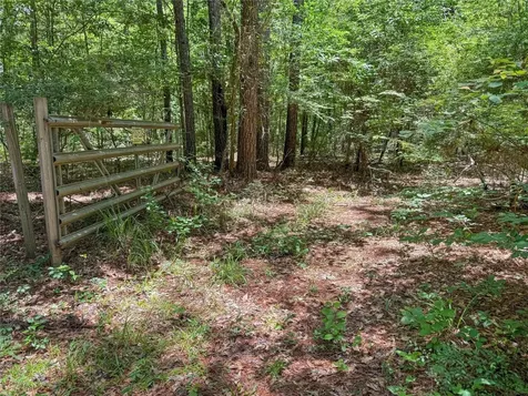 Tbd Hickman Road Burkeville TX 75932
