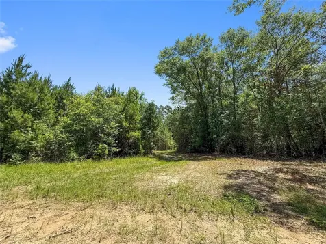 Tbd Hickman Road Burkeville TX 75932