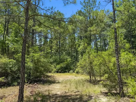 Tbd Hickman Road Burkeville TX 75932