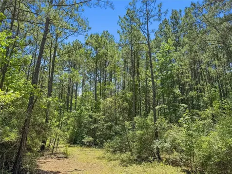 Tbd Hickman Road Burkeville TX 75932