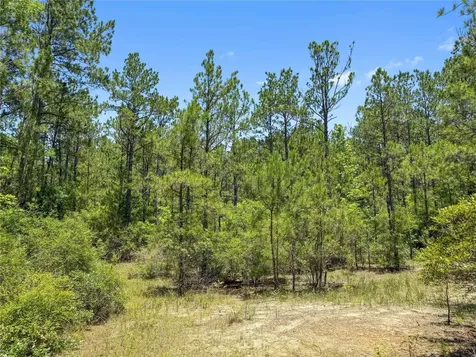 Tbd Hickman Road Burkeville TX 75932