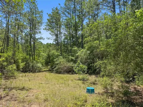 Tbd Hickman Road Burkeville TX 75932