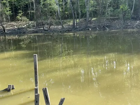 8 Lake View Drive Huntsville TX 77320