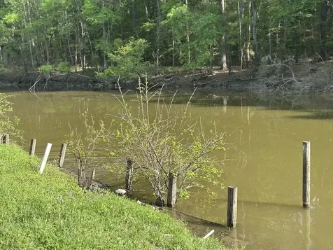 8 Lake View Drive Huntsville TX 77320