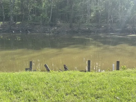 8 Lake View Drive Huntsville TX 77320