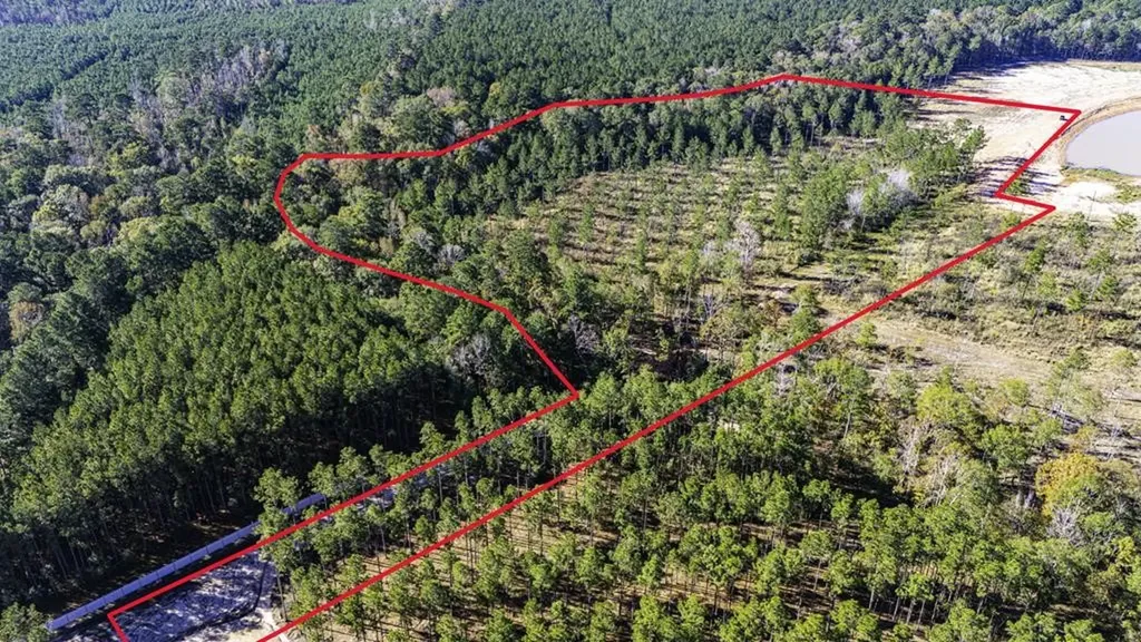 Lot 8 Big Buck Drive N Moscow TX 75960