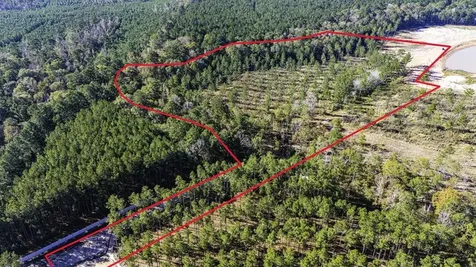 Lot 8 Big Buck Drive N Moscow TX 75960