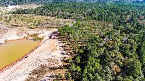 Lot 8 Big Buck Drive N Moscow TX 75960