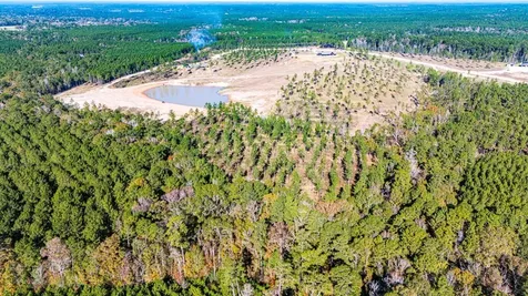 Lot 8 Big Buck Drive N Moscow TX 75960