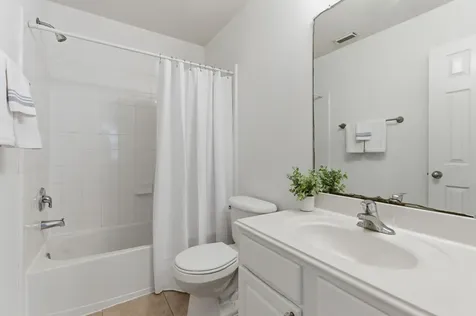 19 Aquiline Oaks Place The Woodlands TX 77382