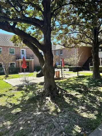 2711 Briarhurst Drive 3 Houston TX 77057