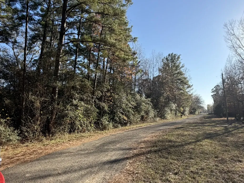 217 Woodland Drive Livingston TX 77351