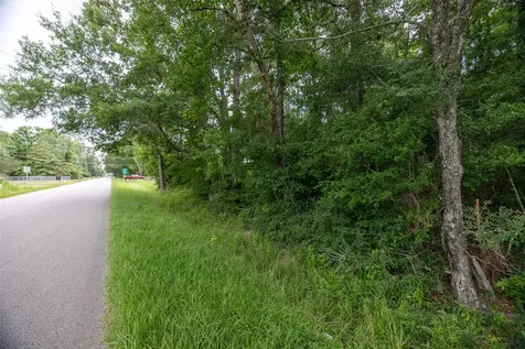 TBD-A3 County Road 318 Cleveland TX 77327