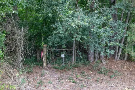 TBD-A3 County Road 318 Cleveland TX 77327