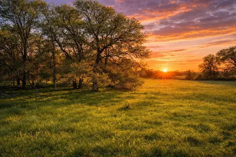 Tbd 6+/- Ac Pope Road Hempstead TX 77445