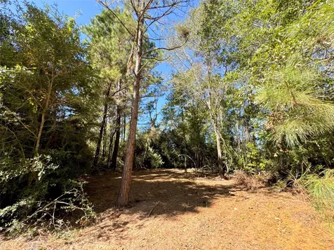 9572 State Highway 146 S Livingston TX 77351