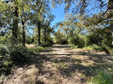 9572 State Highway 146 S Livingston TX 77351