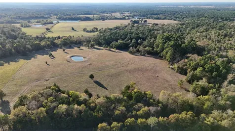 Tbd Townley Ranch Road Huntsville TX 77320