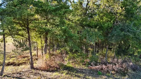 Tbd Townley Ranch Road Huntsville TX 77320
