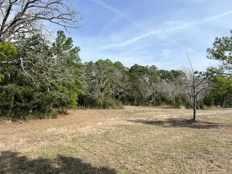 Tbd Townley Ranch Road Huntsville TX 77320