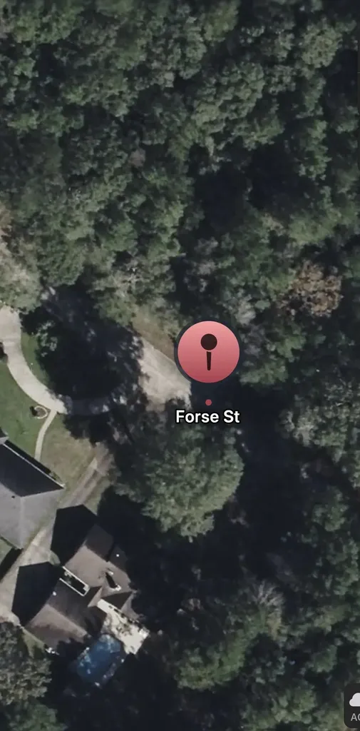 Tbd Forse Street Woodville TX 75979