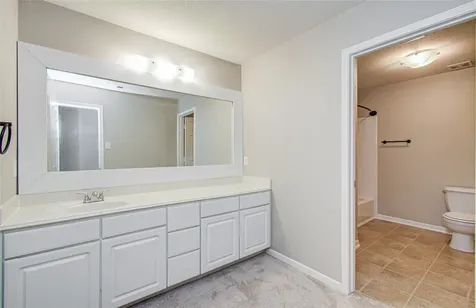 11719 Cabot Hill Street Houston TX 77044