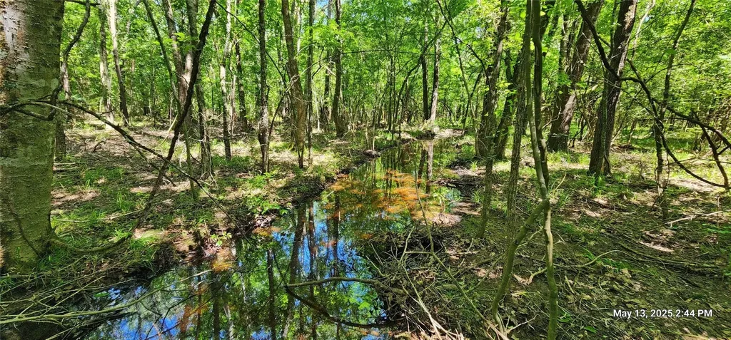 Tbd Cr 3233 East And Cr 3230 Clarksville TX 75426