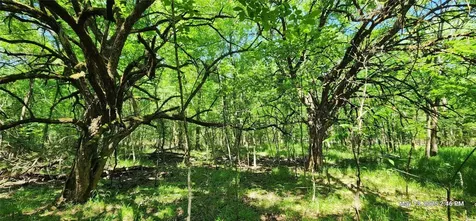 Tbd Cr 3233 East And Cr 3230 Clarksville TX 75426