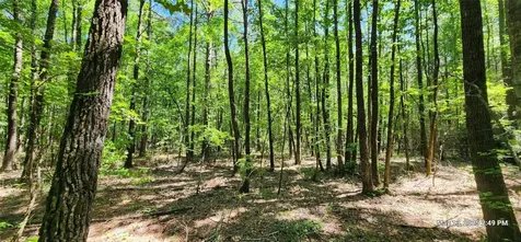 Tbd Cr 3233 East And Cr 3230 Clarksville TX 75426