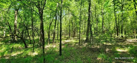 Tbd Cr 3233 East And Cr 3230 Clarksville TX 75426