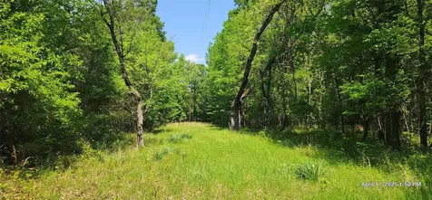 Tbd Cr 3233 East And Cr 3230 Clarksville TX 75426