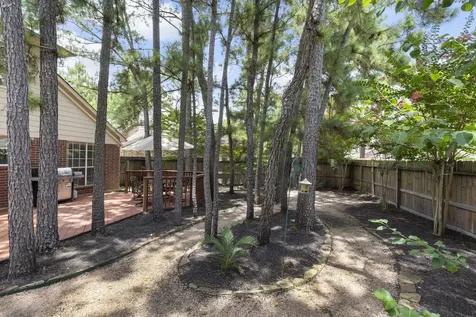 34 Sweetdream Place The Woodlands TX 77381