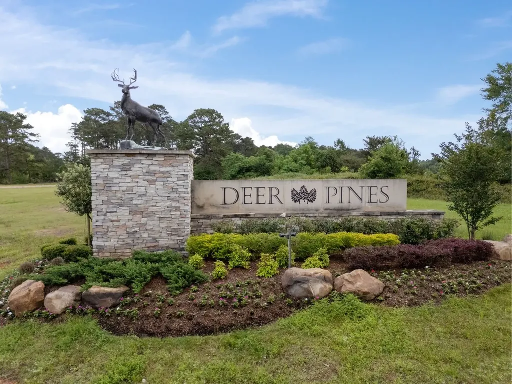 13660 Armstrong Street Conroe TX 77303