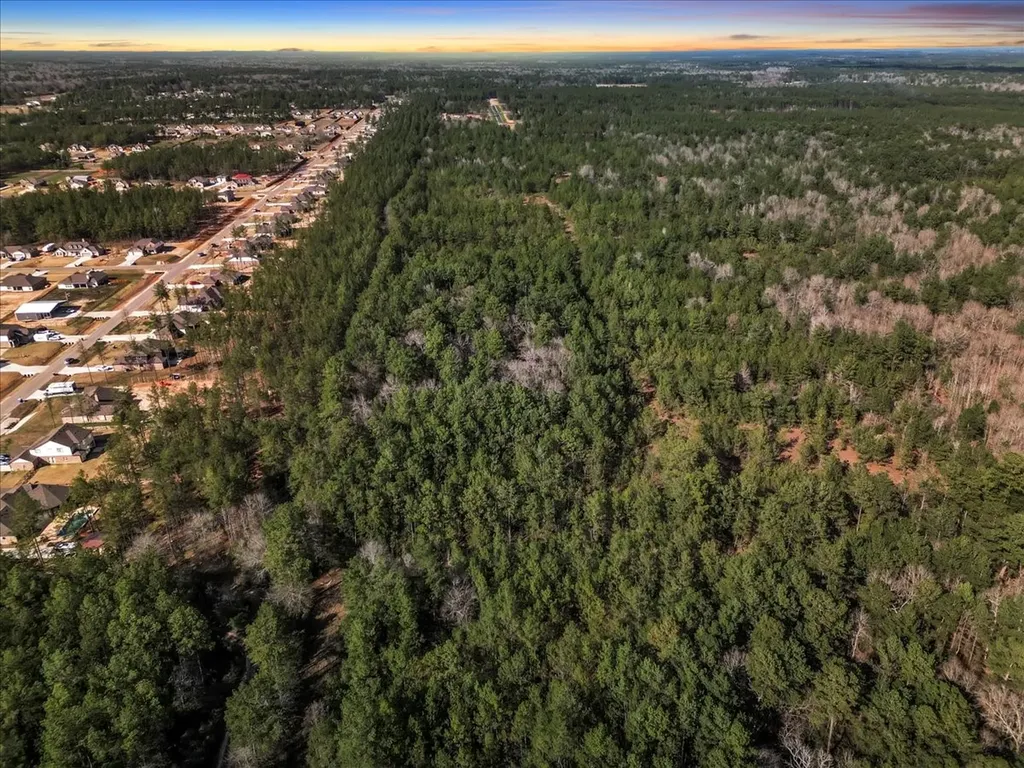 0 A0186 - Dease Conley, Tract 15, Acres 20 Conroe TX 77303