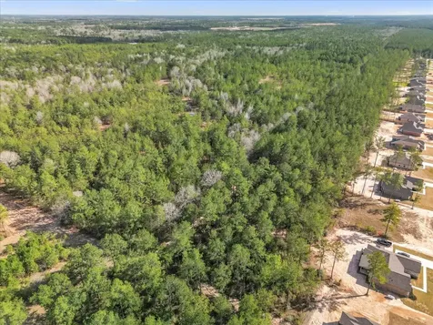 0 A0186 - Dease Conley, Tract 15, Acres 20 Conroe TX 77303