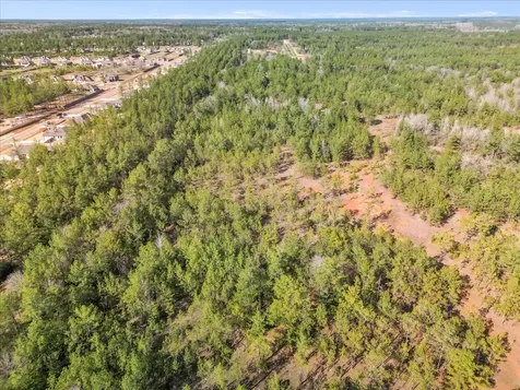 0 A0186 - Dease Conley, Tract 15, Acres 20 Conroe TX 77303