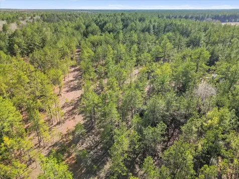 0 A0186 - Dease Conley, Tract 15, Acres 20 Conroe TX 77303