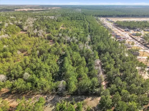 0 A0186 - Dease Conley, Tract 15, Acres 20 Conroe TX 77303