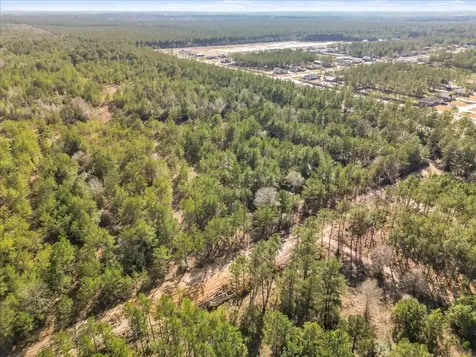 0 A0186 - Dease Conley, Tract 15, Acres 20 Conroe TX 77303