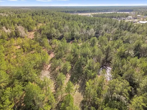 0 A0186 - Dease Conley, Tract 15, Acres 20 Conroe TX 77303